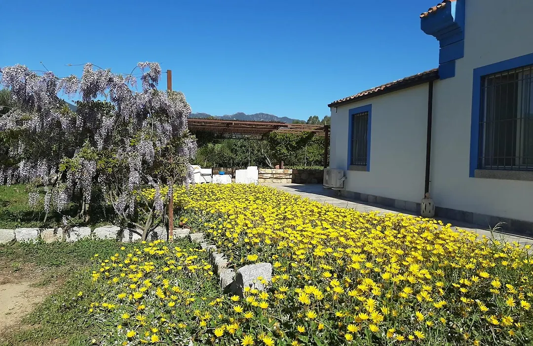 Casale Diletta-1